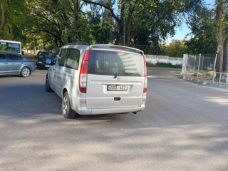 Mercedes Viano foto 3