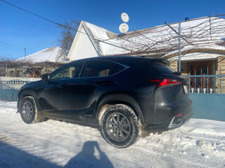 Lexus NX Series foto 9