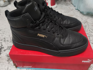 Puma, Original foto 5