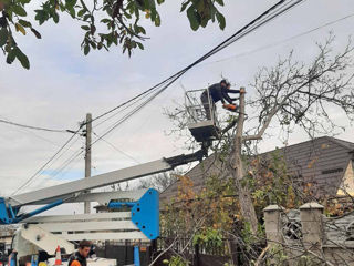 Taierea copacilor, defrisarea padurilor, aranjarea spatiilor verzi, lucrari la inaltime! foto 13