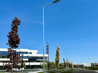 Apartament cu 1 cameră,  Buiucani,  Chișinău,  Chișinău mun. foto 12