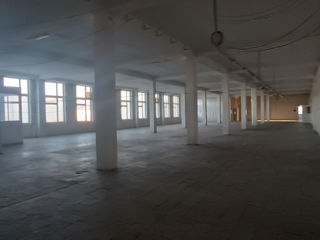 Chirie - depozit / producere Centru / 1000 m2 foto 4