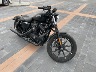 Harley - Davidson Iron 883 foto 2
