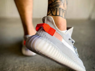 Adidas Yeezy Boost 350 Tail Light Unisex foto 9