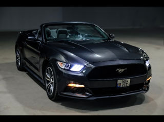 Ford Mustang foto 8