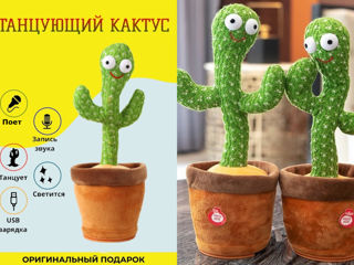 Танцующий Кактус игрушка повторюшка/ jucarie Cactus vorbitor danseaza, canta foto 2