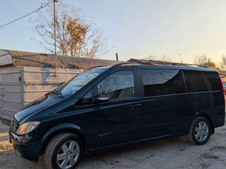 Mercedes Viano foto 3