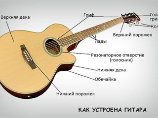 Ремонт и отстройка гитар!!! foto 2