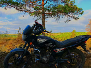 Viper 150 фото 0