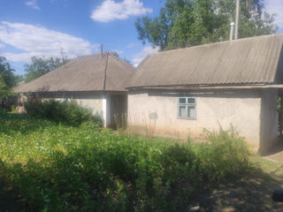 Casa pe malul Nistrului. Raionul Orhei 25km satul Viscauti 10,5 sote de teren .