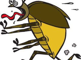 Выведение - тараканов, клопов, блох, муравьев, клещей - 100% результат