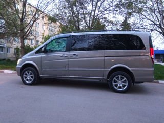 Mercedes Viano foto 3