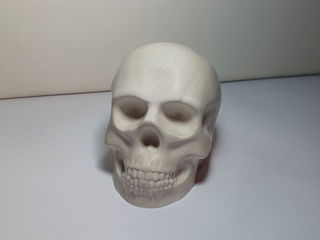 Craniu decorativ foto 0