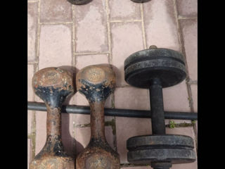 Sport 2x18kg, 2х8kg, 1x6kg. Haltere Sport foto 2