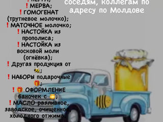 Доставка мёда и другой продукции пчеловодства по адресу со своей пасеки по Молдове foto 10