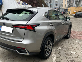 Lexus NX Series foto 4