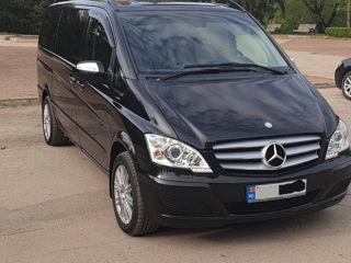 Mercedes Viano