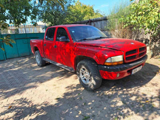 Dodge Dakota foto 4