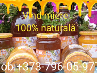 Miere polifloră -100% naturală