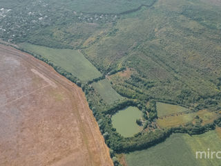 Se vinde teren agricol în or. Vadul lui Vodă! foto 6