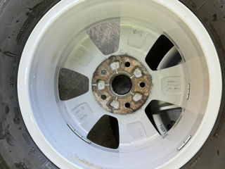 VW Amaroc foto 6