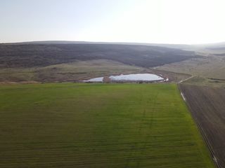 Iaz cu teren- 14 hectare- Orhei- centrul tarii foto 2