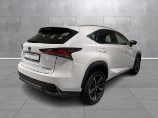 Lexus NX Series foto 6