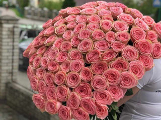 Livrare flori! 101 trandafiri de la 799 mdl! Доставка цветов 101 роза от 799 лей! Flowers delivery foto 3