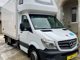 Mercedes Sprinter 519 Frigo foto 4