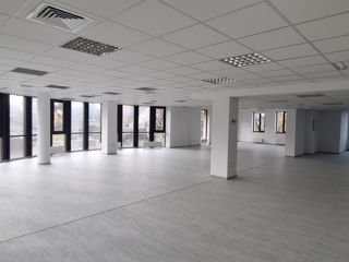 Офис Open Space 521 м2 для IT-компании, Call-центра и др. Sfatul Tarii 15 foto 2
