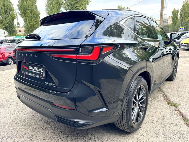 Lexus NX Series 2023 — 3