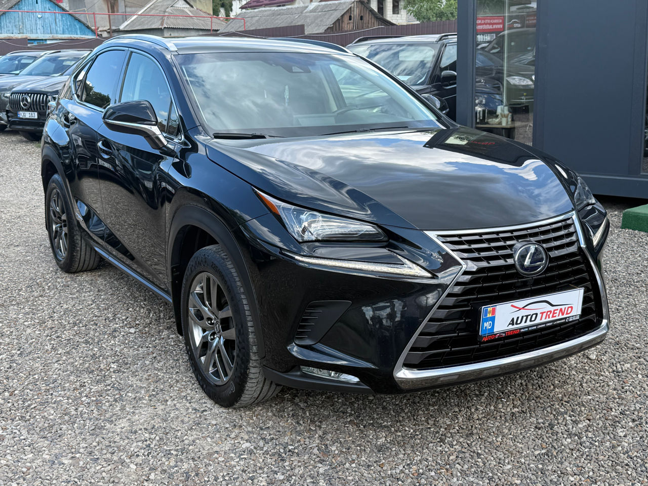 Lexus NX Series