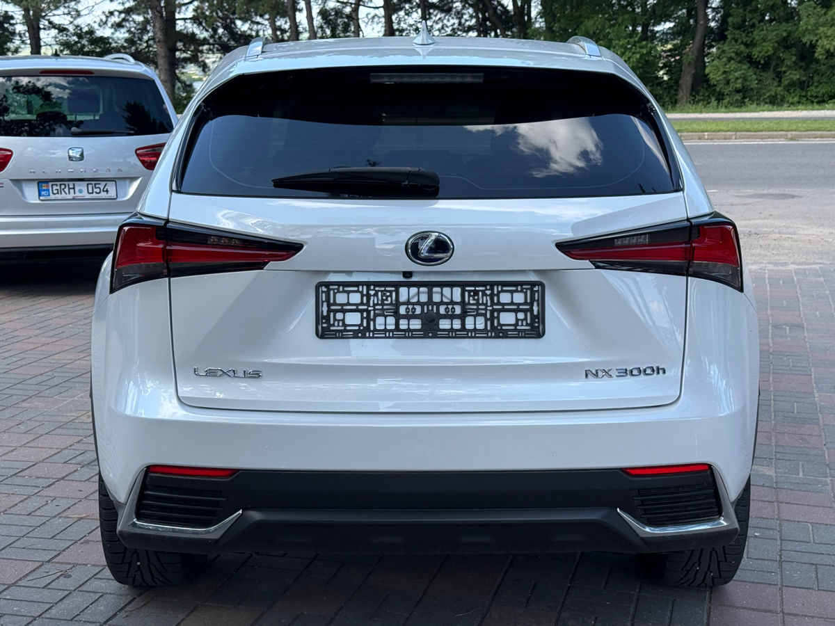 Lexus NX Series