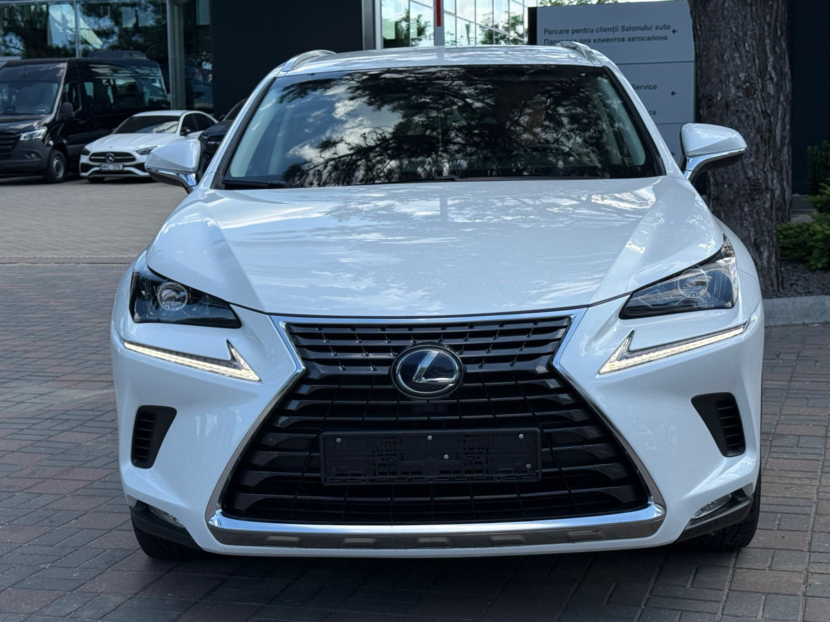 Lexus NX Series
