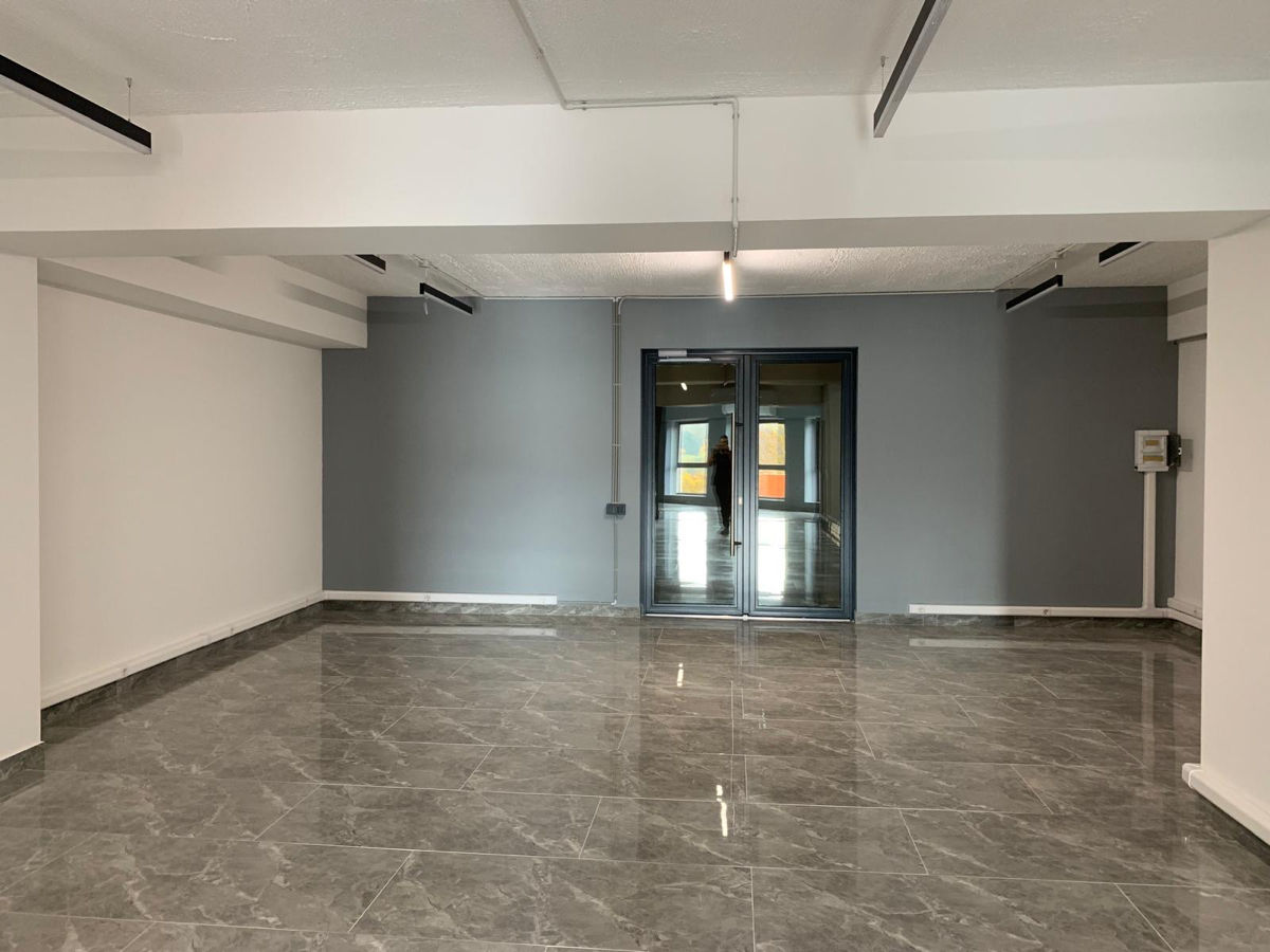 Spațiu de birou, 103 m², Chișinău - Fler