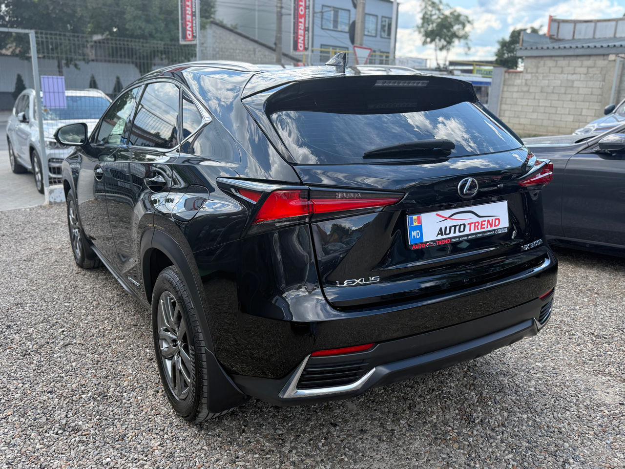 Lexus NX Series