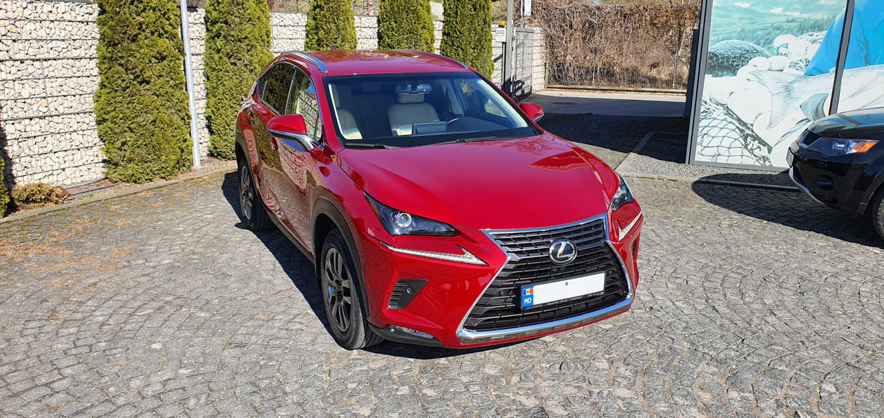 Lexus NX Series foto 13