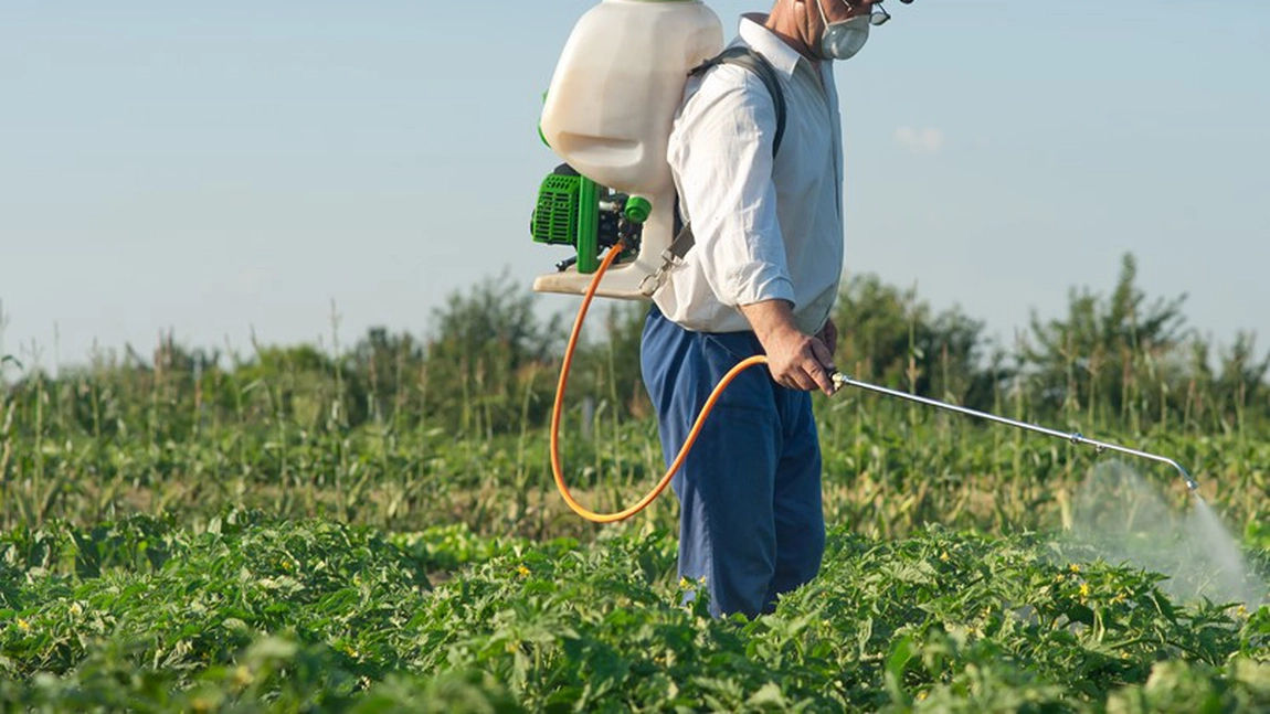 Erbicide pentru porumb la super preț foto 0