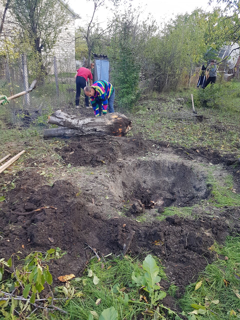 Scoatem radacini,tulpini. Выкарчевка деревьев и пеньков уборка территории foto 2