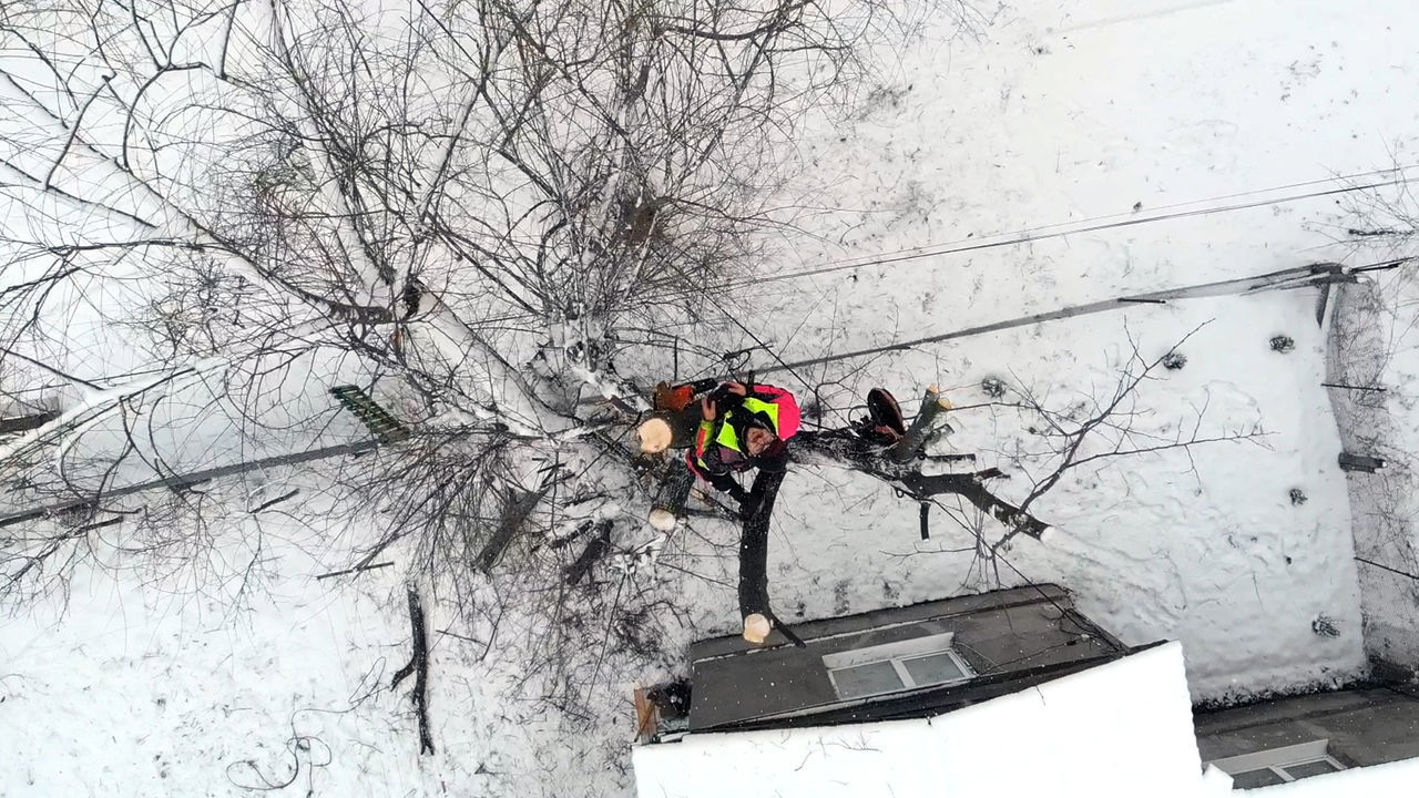 Defrisare arbori de orice dimensiuni si greutate.Arborist/Распиловка деревьев в труднодоступных мест foto 4