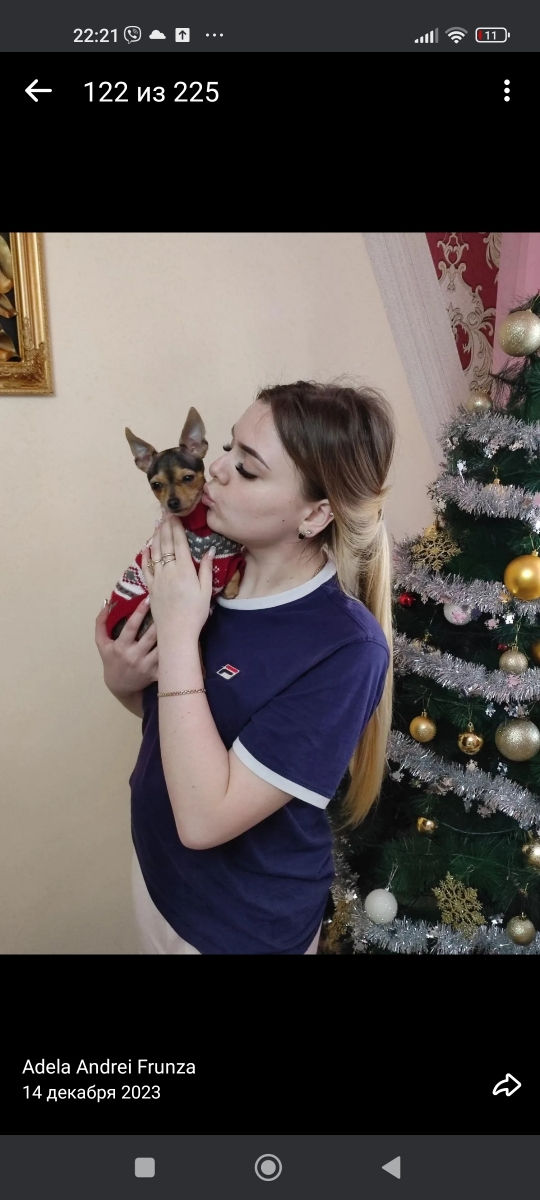 Cățeluși de buzunar! foto 5