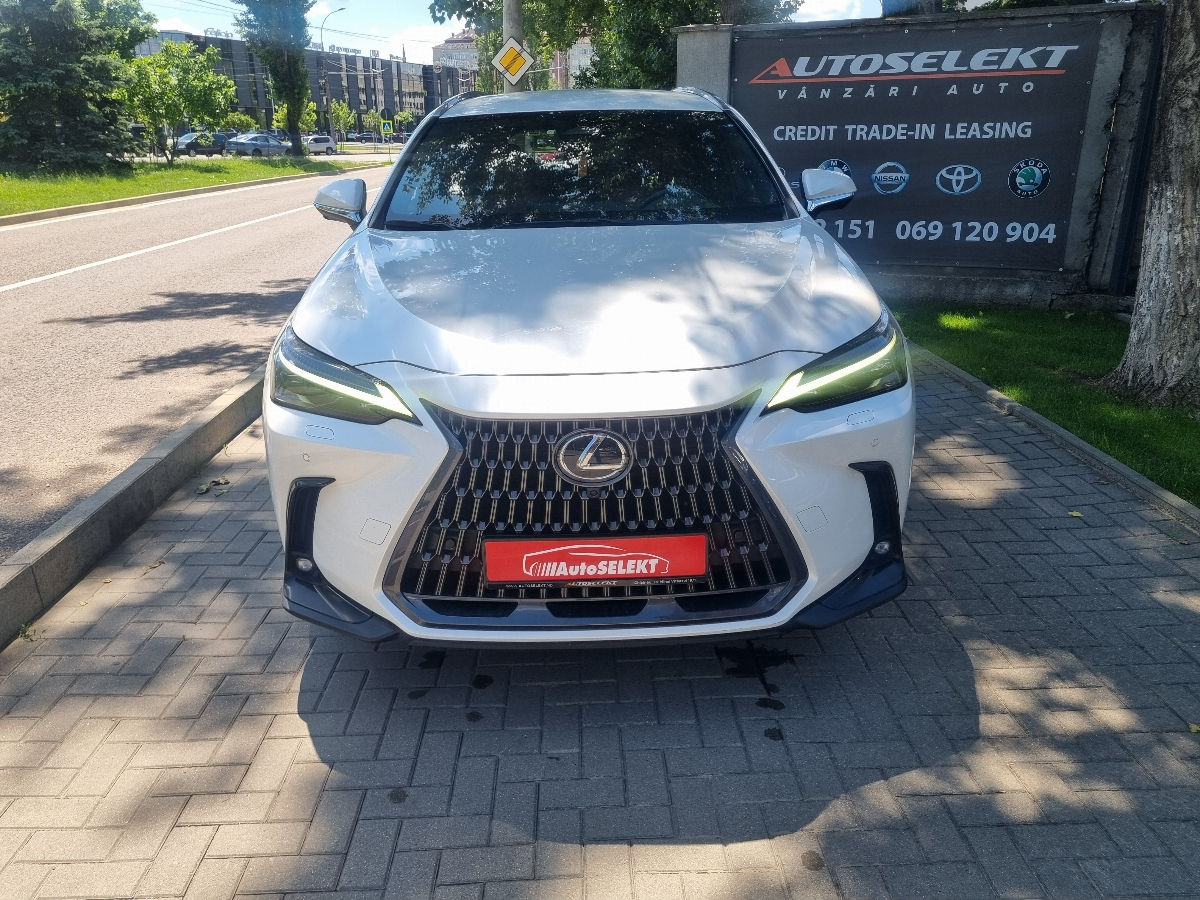 Lexus NX Series 2022 photo 2