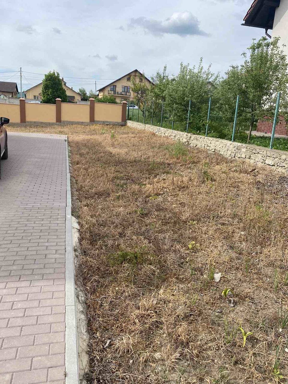 Soluție pentru buruian teracotă. (s.special pentru livezi , viță de vie,perimetru casă) foto 8