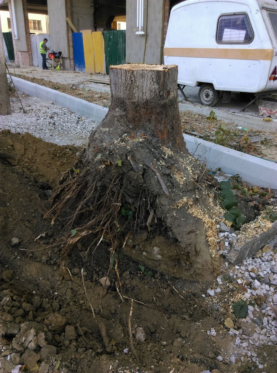 Уборка территорий. Вывоз мусора. Evacuarea gunoiului foto 2