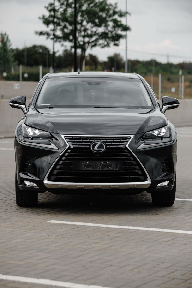 Lexus NX Series foto 11