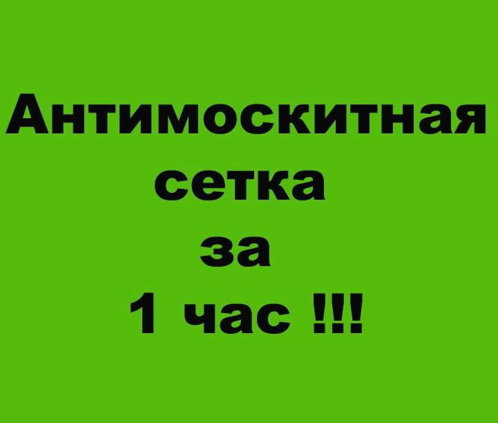 Антимоскитные сетки 250 лей за штуку. фото 2