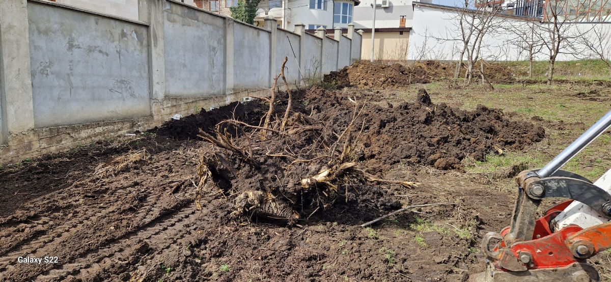 Servicii curățate terenuri foto 19