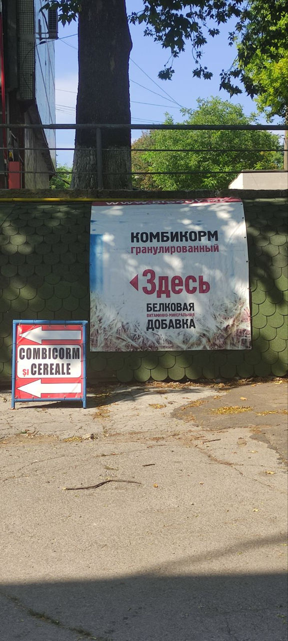 Depozit angro de nutret in Chisinau / Оптовый склад в Кишиневе по комбикорму / SA Marculesti Combi foto 4