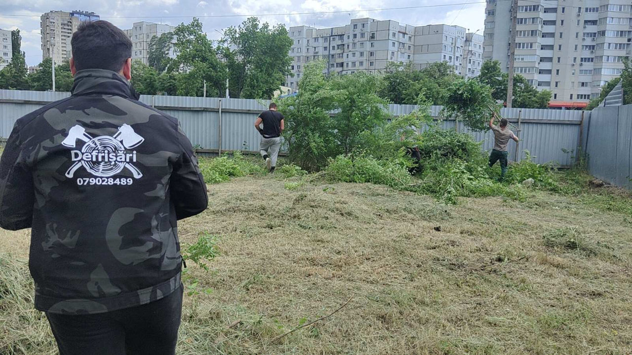 Услуги по стрижке травы, уходу за газоном и очистке участков! фото 2