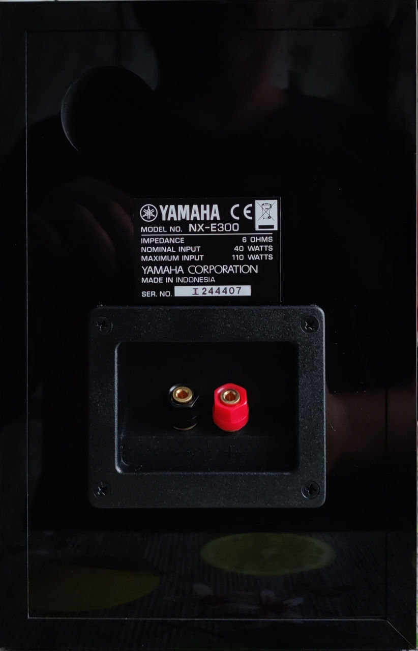 High quality HI-FI components Yamaha CRX-550 DAB Speakers Yamaha NX-E300 foto 13